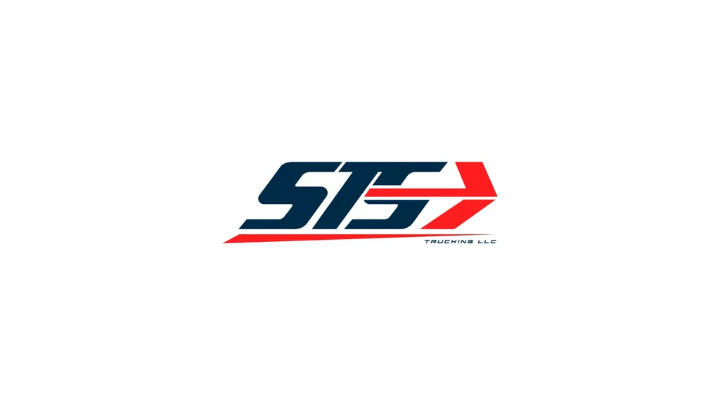 STS — 1